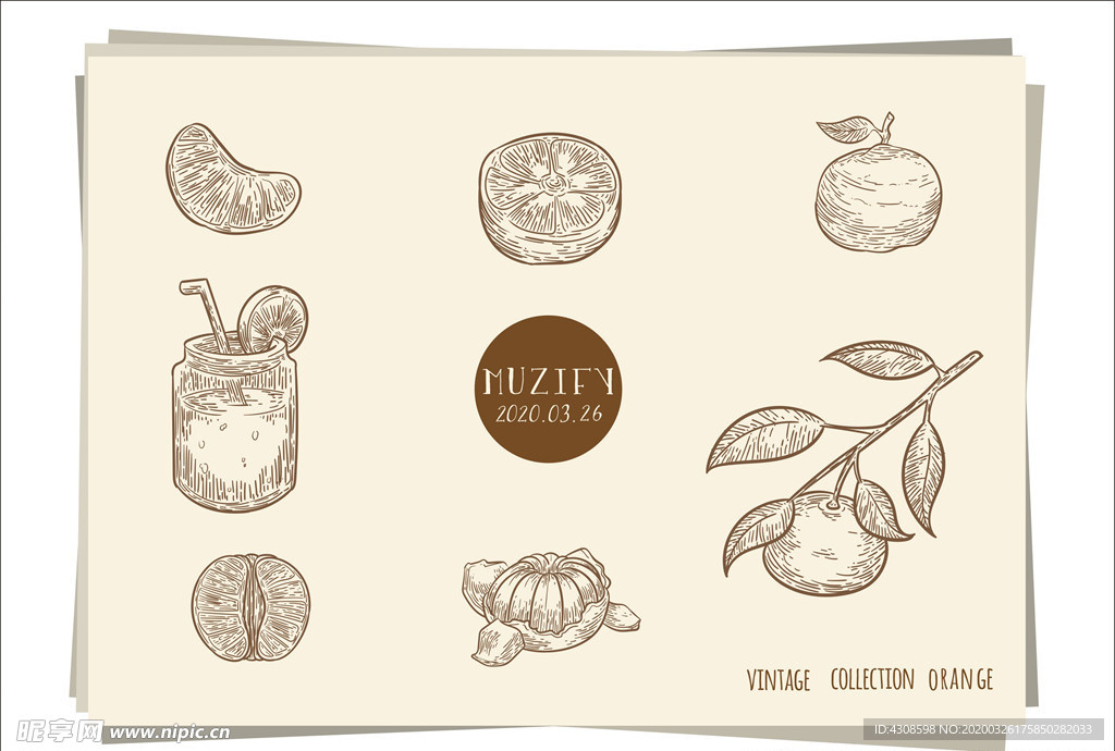 7款入桔子 橙子 手绘稿