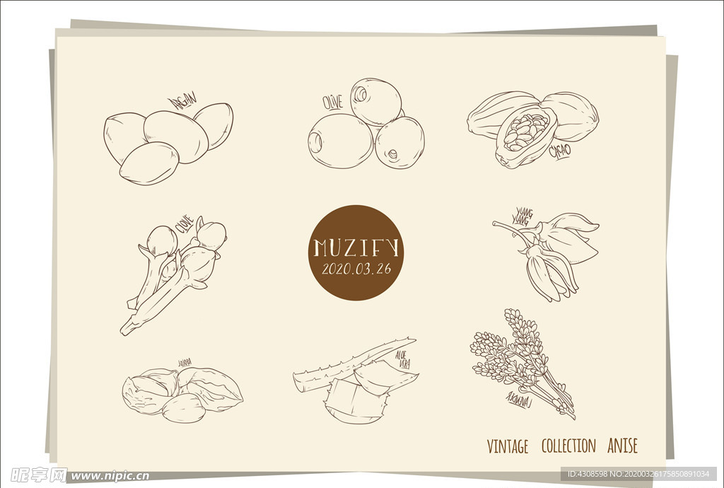 8款入草本植物手绘稿