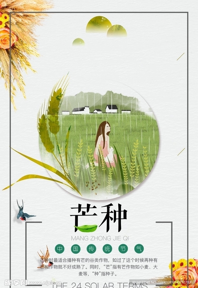 芒种女孩插画海报