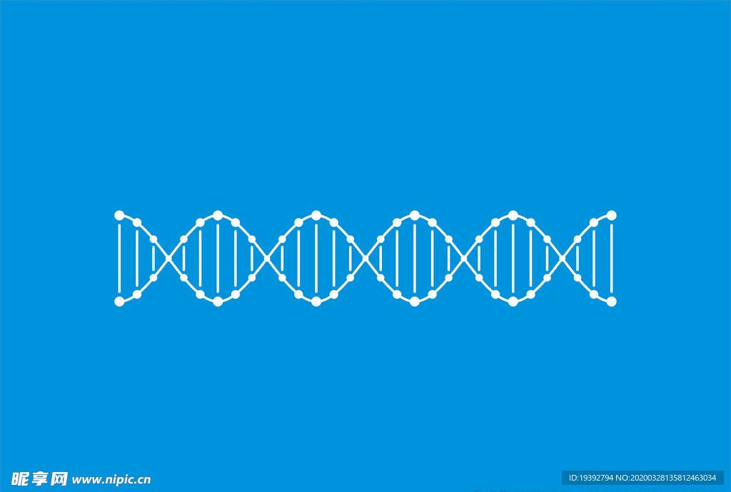 DNA双螺旋结构矢量