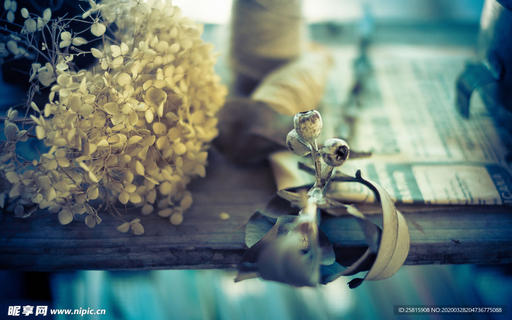 花艺插花捧花桌花图片