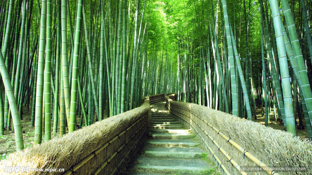 公路山路小径小道图片