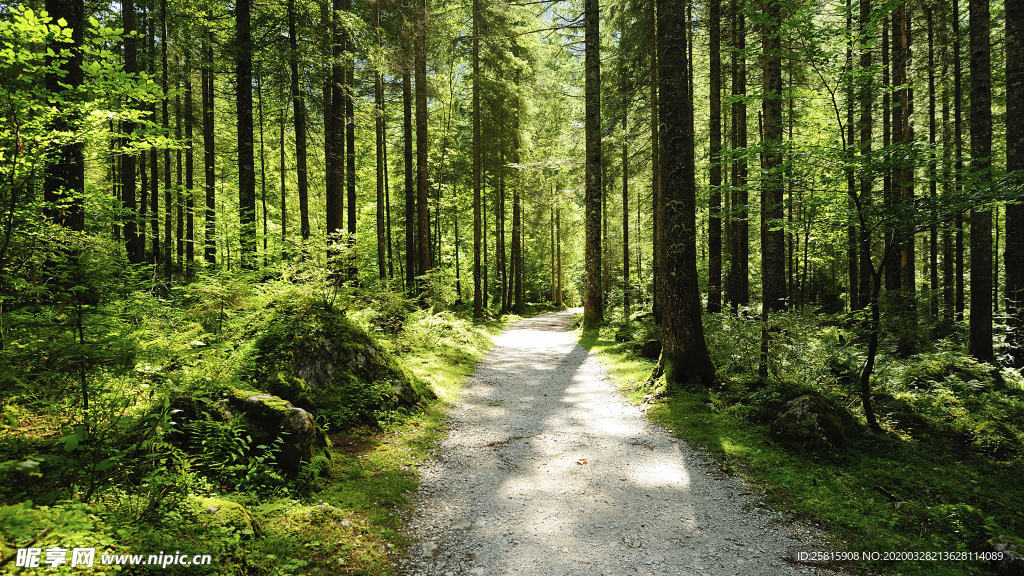 公路山路小径小道图片