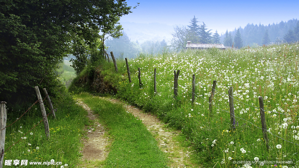 公路山路小径小道图片