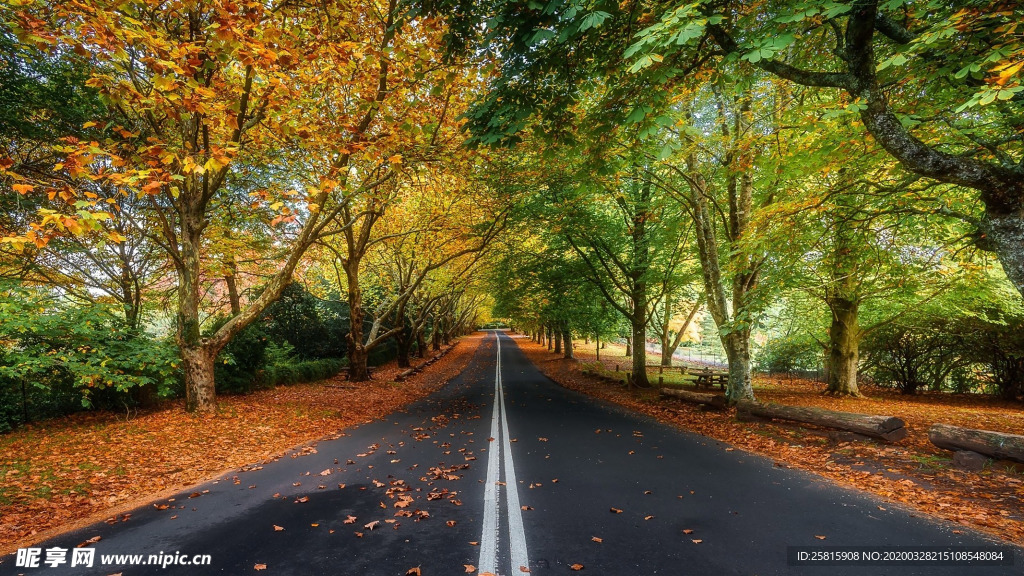 公路山路小径小道图片