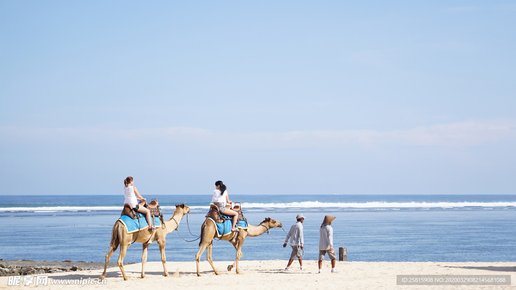 骆驼驼队沙漠戈壁荒野