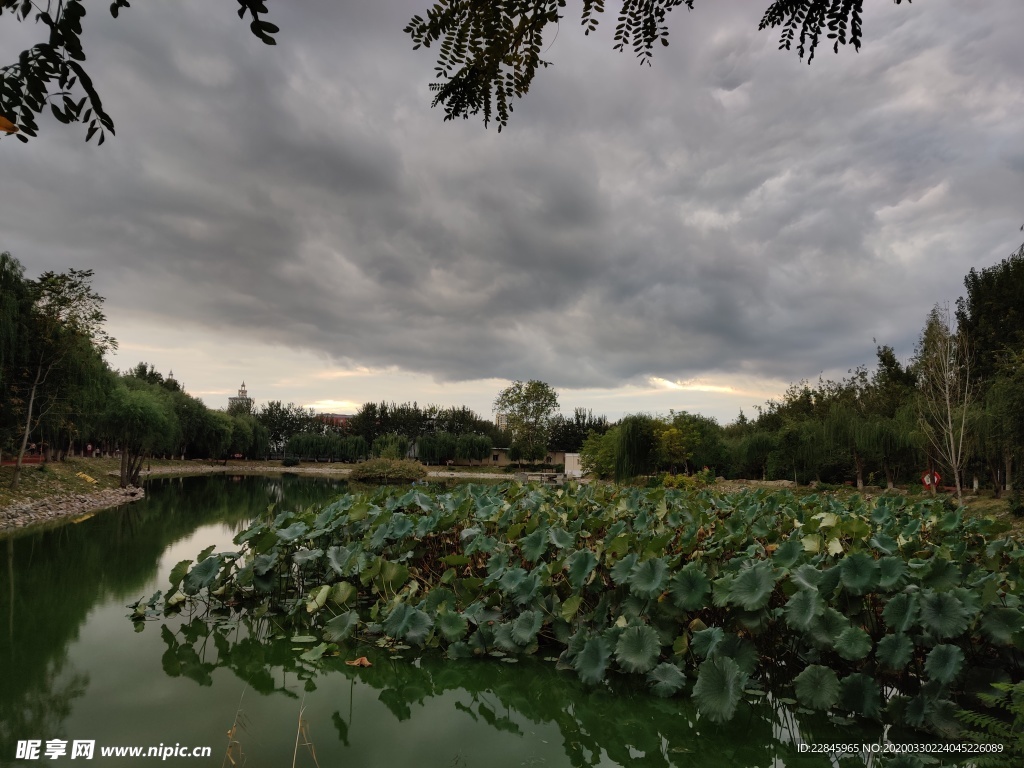 阴天公园小湖