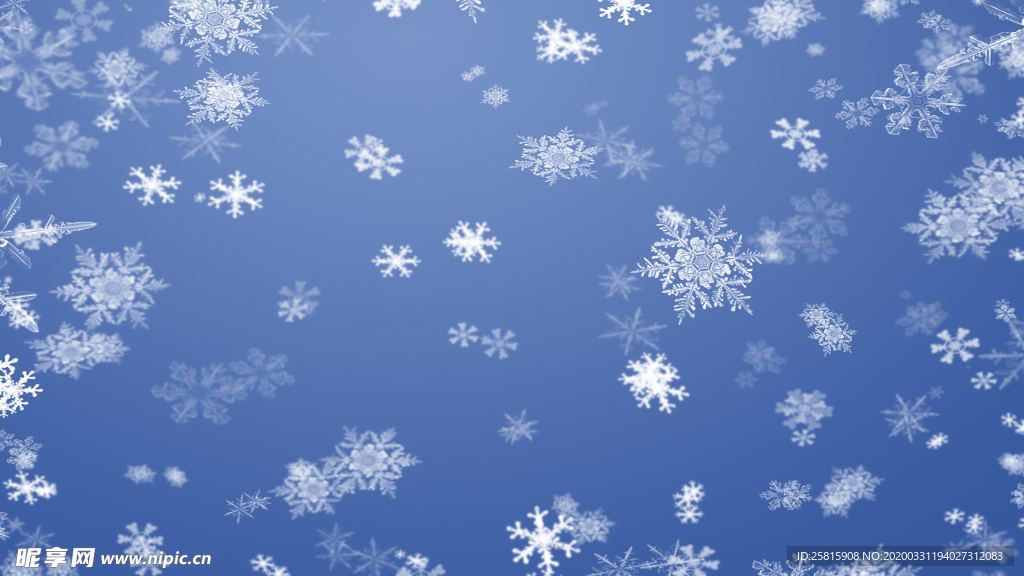 雪花冰花冰霜窗花图片