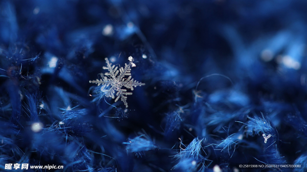 雪花冰花冰霜窗花图片