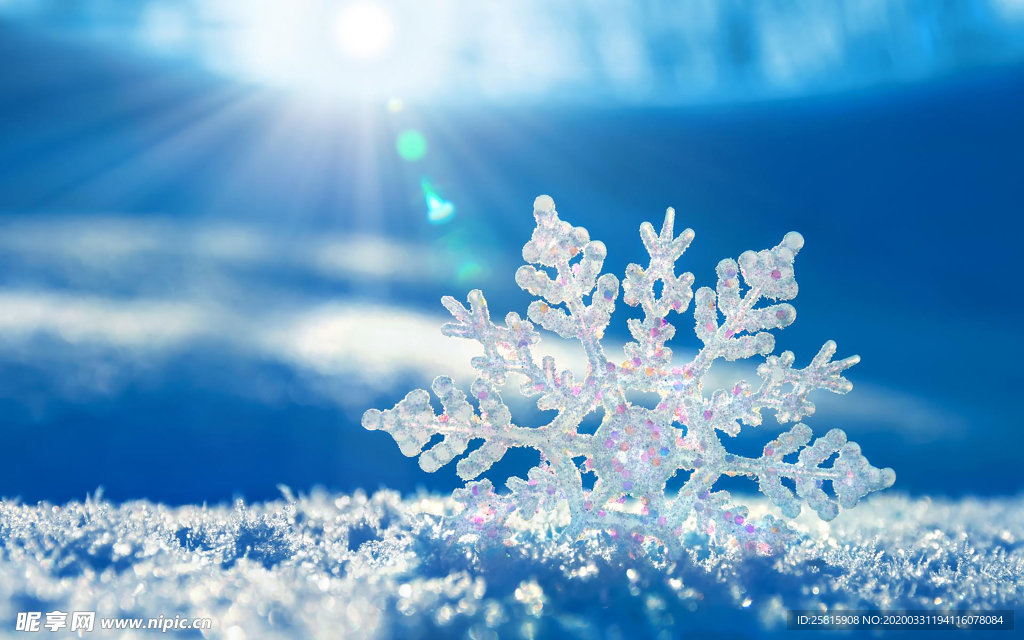 雪花冰花冰霜窗花图片