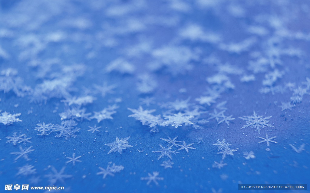 雪花冰花冰霜窗花图片