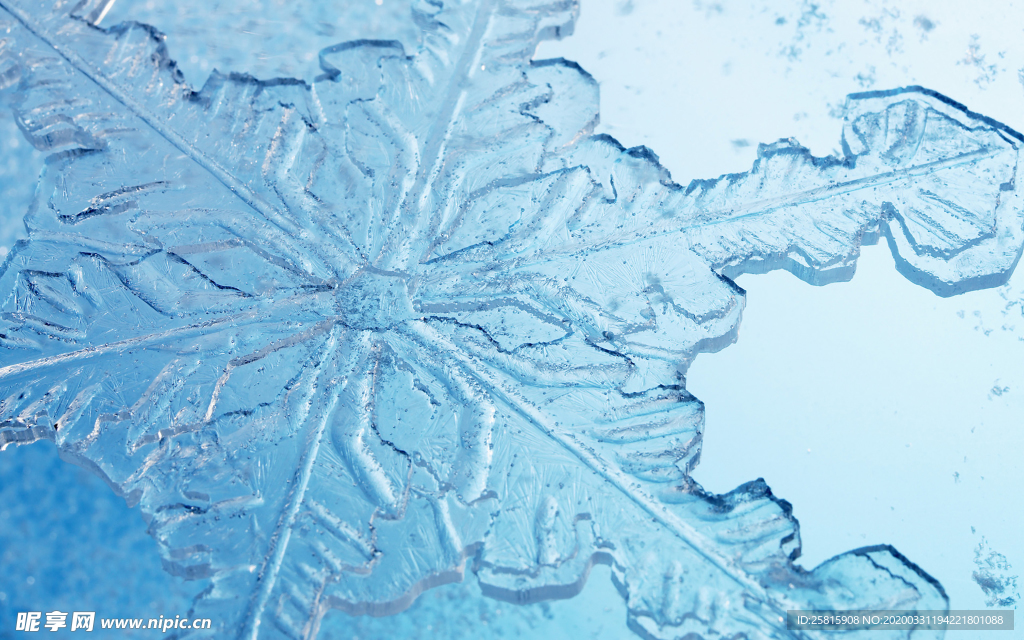 雪花冰花冰霜窗花图片