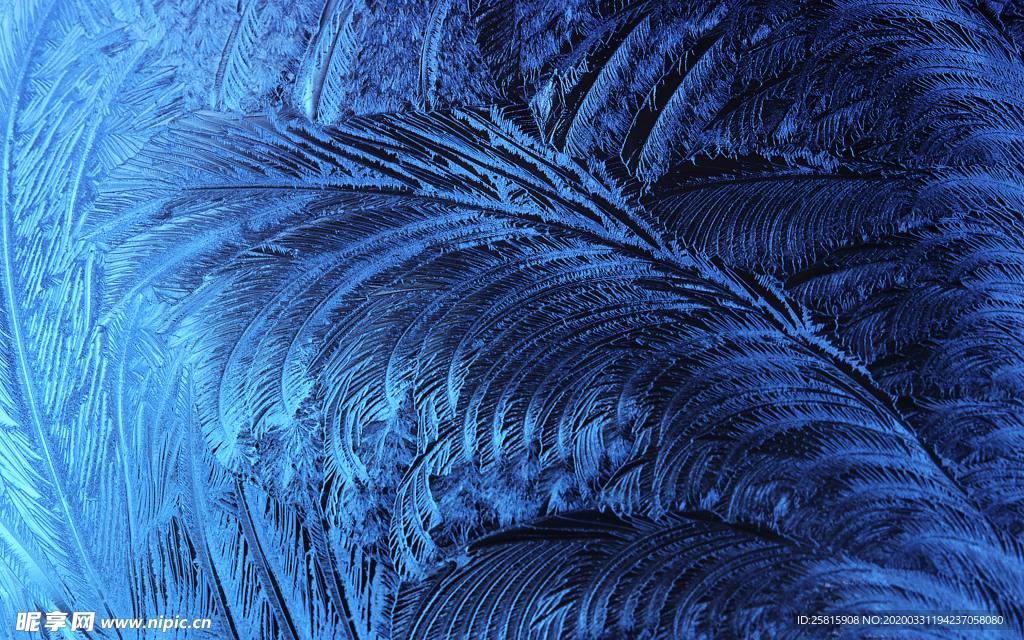 雪花冰花冰霜窗花图片