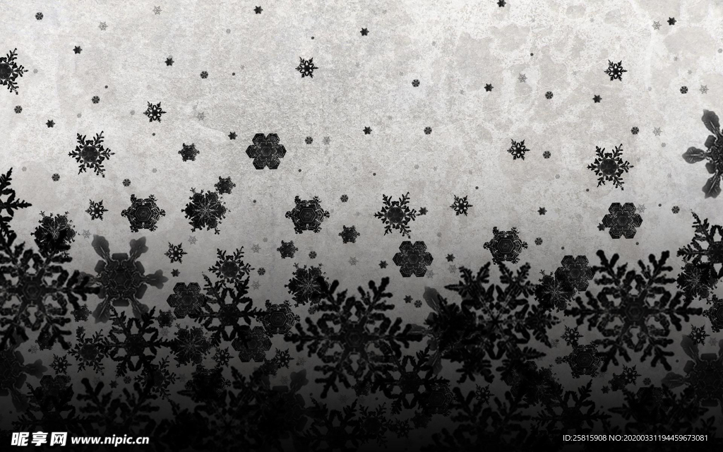 雪花冰花冰霜窗花图片