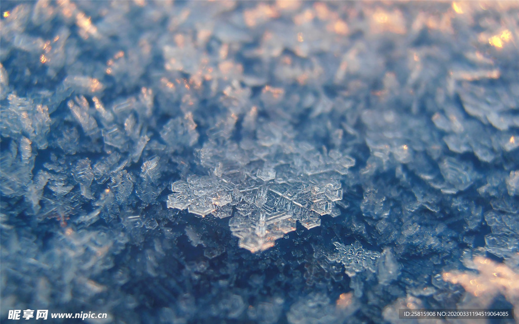 雪花冰花冰霜窗花图片