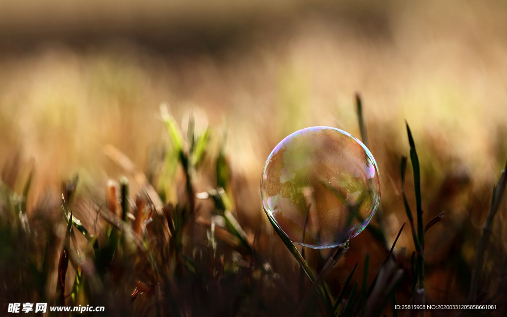 泡沫肥皂泡泡气泡图片