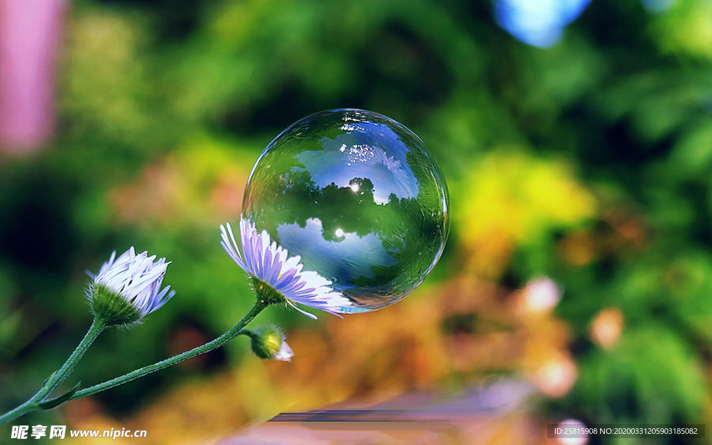 泡沫肥皂泡泡气泡图片