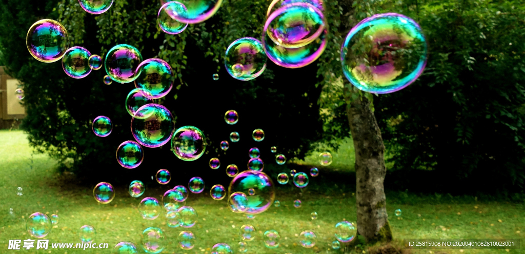 泡沫肥皂泡泡气泡图片