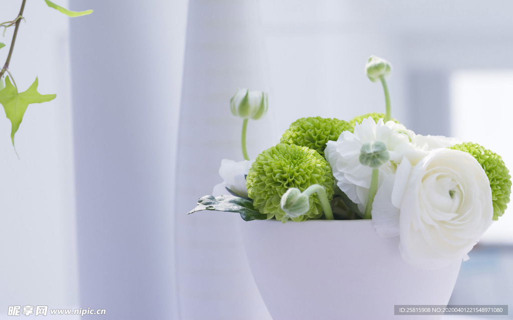 室内盆栽花草摆设搭配