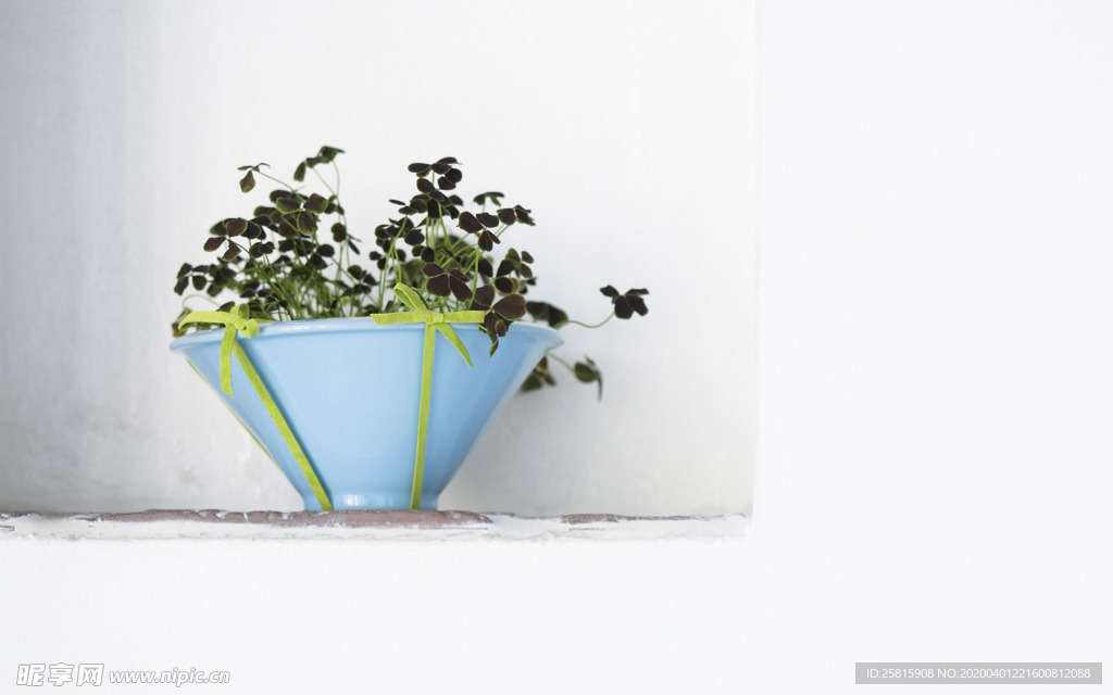 室内盆栽花草摆设搭配