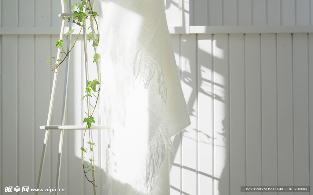 室内盆栽花草摆设搭配