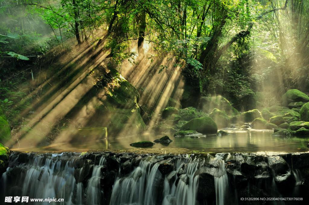 森林树林瀑布小溪