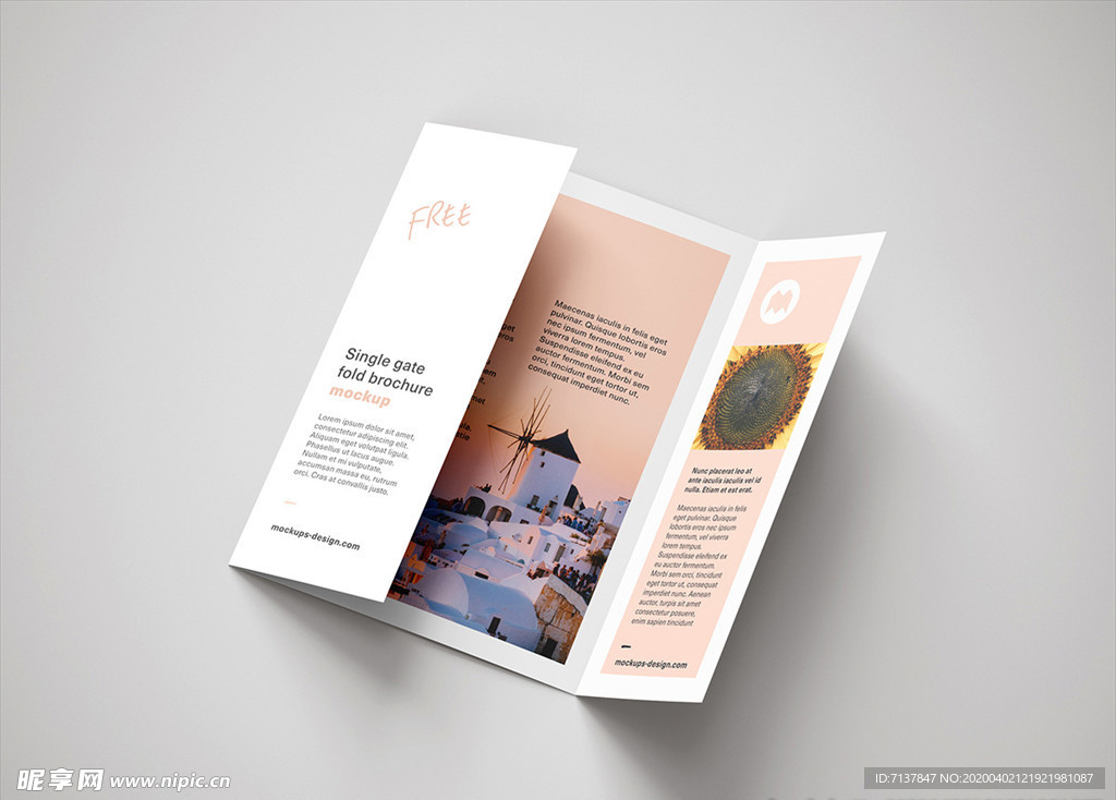 宣传三折页样机