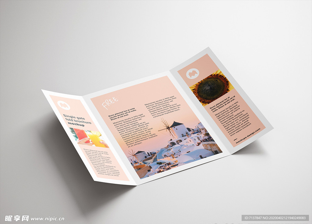 宣传三折页样机