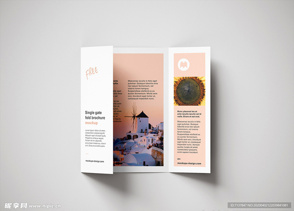 三折页宣传页样机