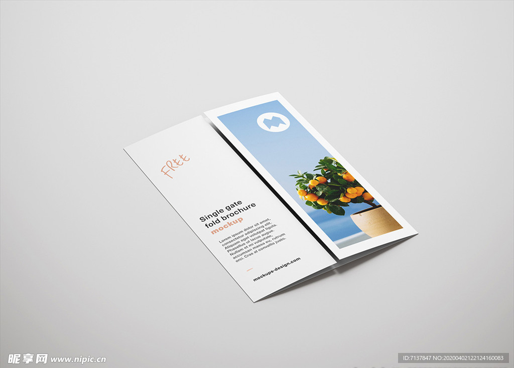 宣传三折页样机