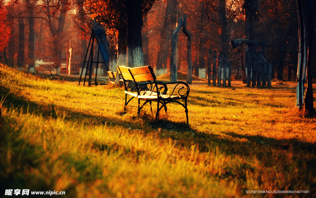 长椅坐垫椅子凳子图片