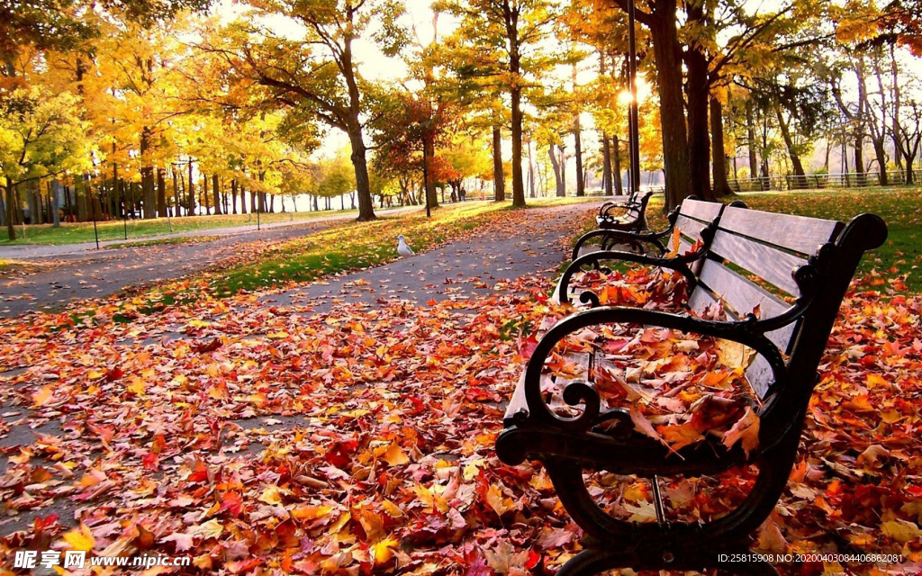 长椅坐垫椅子凳子图片