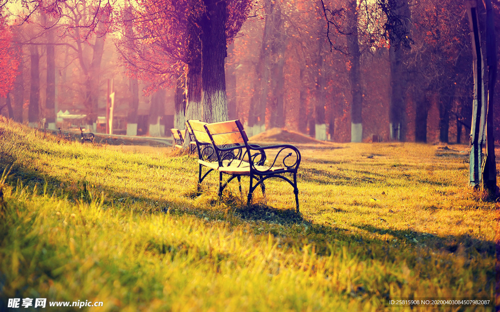 长椅坐垫椅子凳子图片