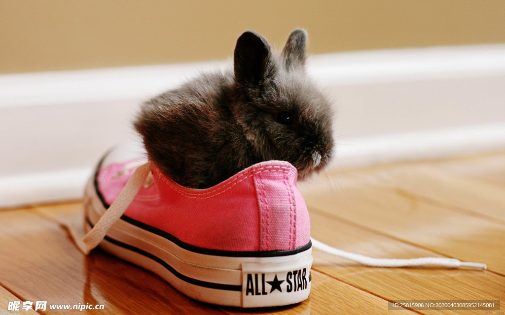 鞋子靴子高跟鞋图片