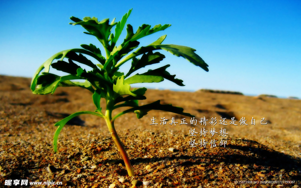 诗词歌曲文字背景