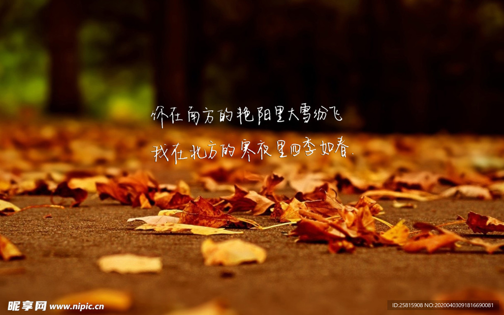 诗词歌曲文字背景