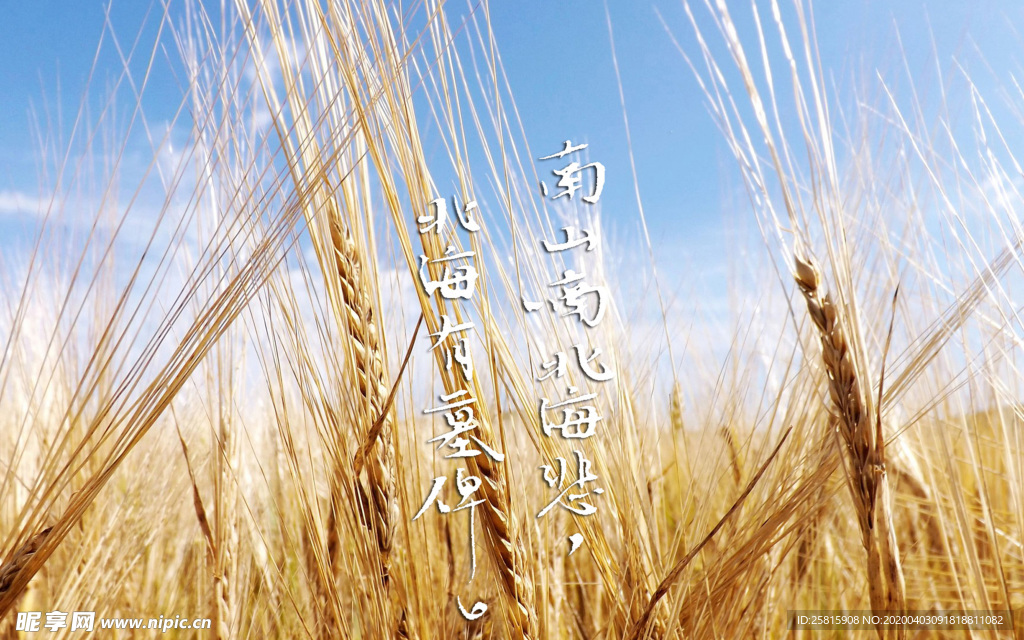 诗词歌曲文字背景