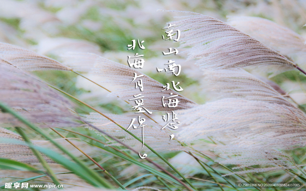 诗词歌曲文字背景