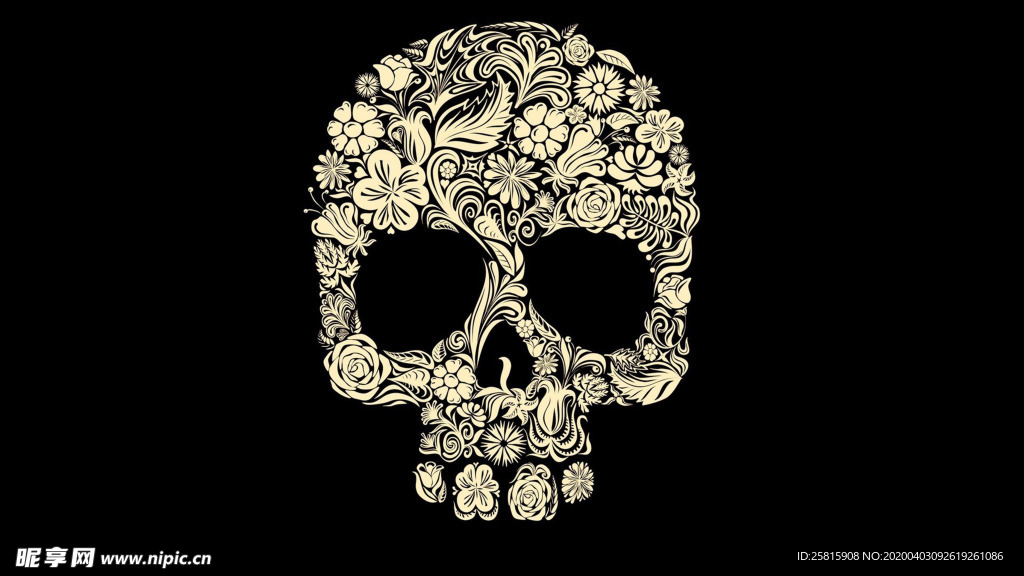 骷髅骷髅头恐怖图片