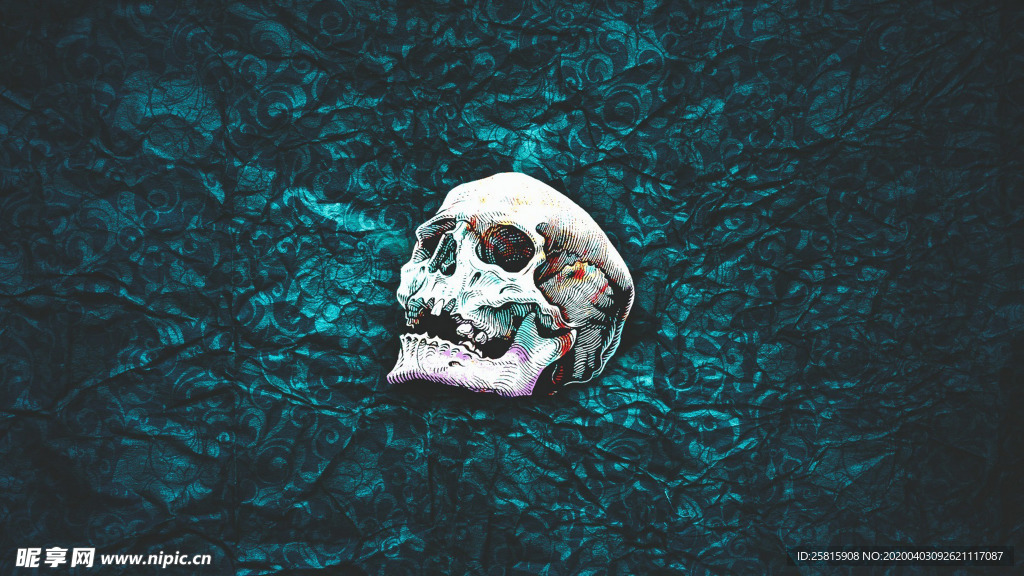 骷髅骷髅头恐怖图片