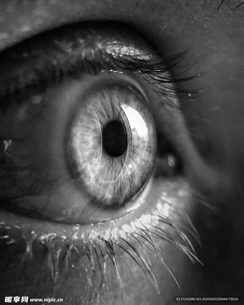 眼睛瞳孔特写