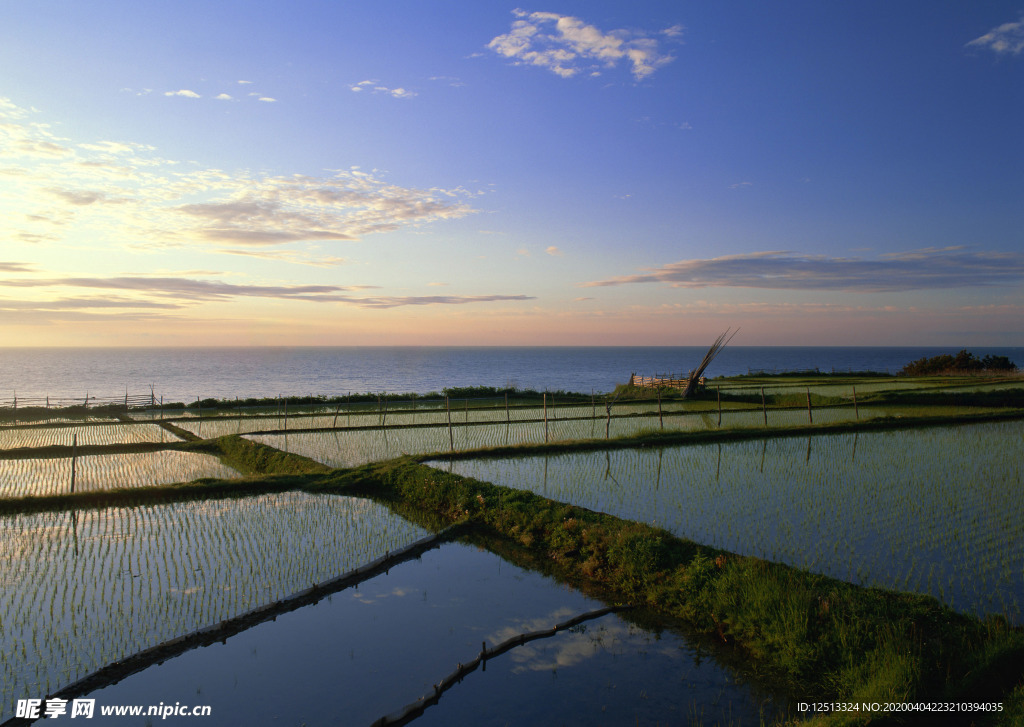 围湖造田 湖