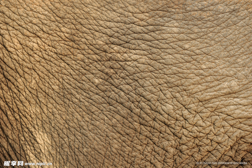 皮革贴图