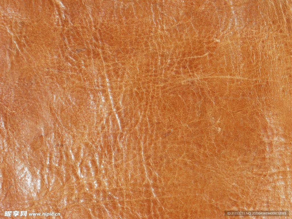 皮革贴图