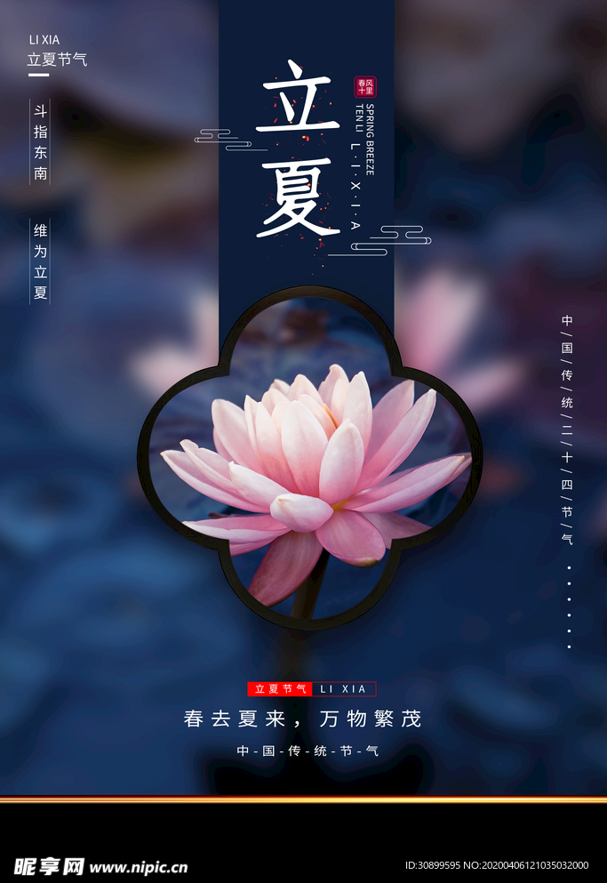 24节气立夏宣传海报