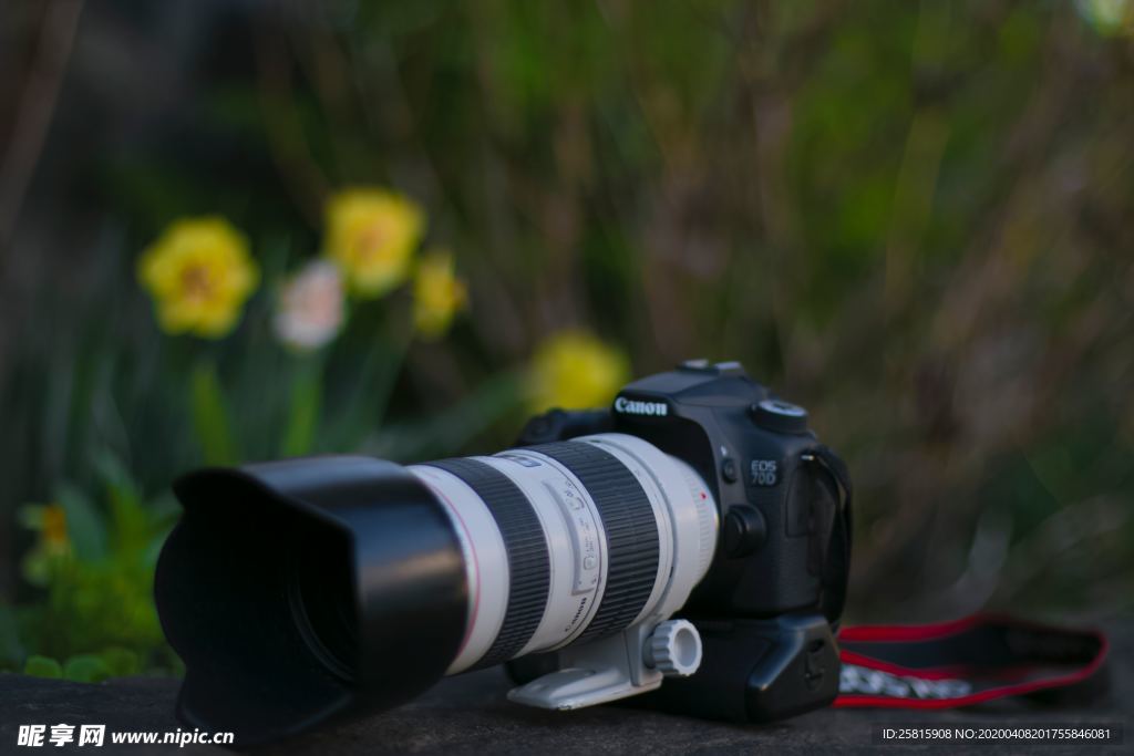 相机摄影机影像拍照图片