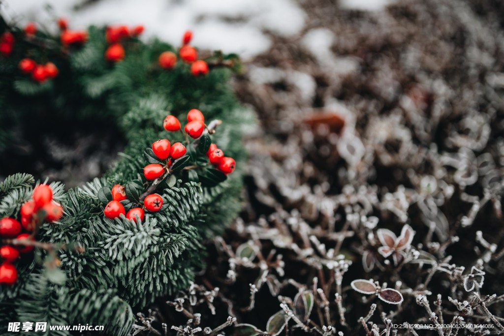 花环花篮花框唯美图片