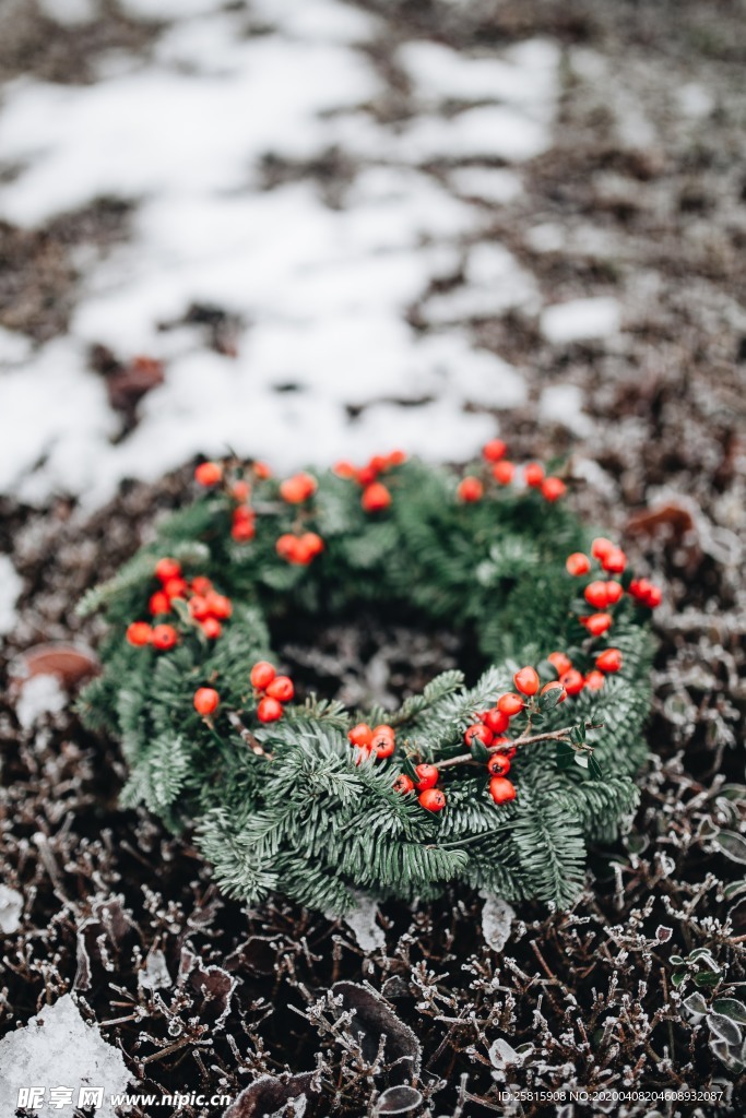 花环花篮花框唯美图片