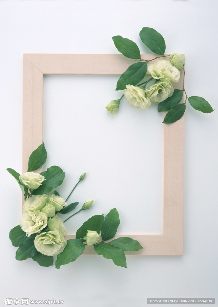 花环花篮花框唯美图片