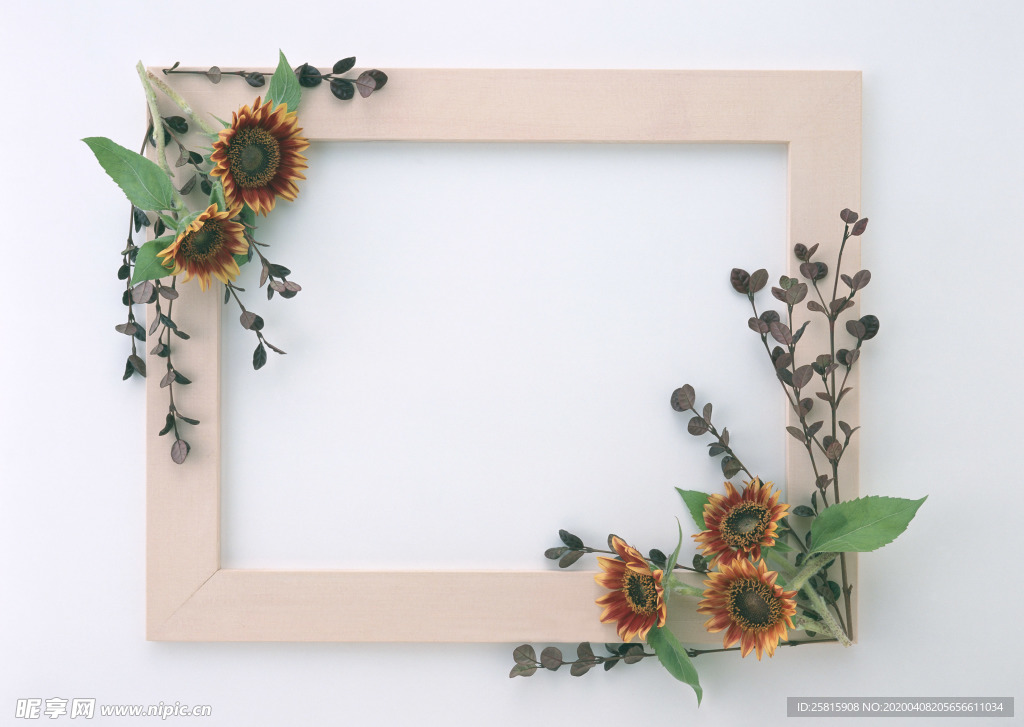 花环花篮花框唯美图片